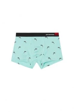 Intimissimi Herren MIT WAL-PRINT AUS ELASTISCHER SUPIMA®-BAUMWOLLE - Panties - Orche Minty Blue -INTIMISSIMI Verkäufe 340b0410210b43628cb0da484cc378ee