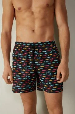 Intimissimi Herren Badeshorts - St.squali Multicolor 9 Intimissimi Herren Badeshorts - St.squali Multicolor -INTIMISSIMI Verkäufe 5f139c1809ef4796b7605f252d1582d9