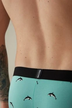 Intimissimi Herren MIT WAL-PRINT AUS ELASTISCHER SUPIMA®-BAUMWOLLE - Panties - Orche Minty Blue -INTIMISSIMI Verkäufe 7c614889eb2845acb2d76855f254b101