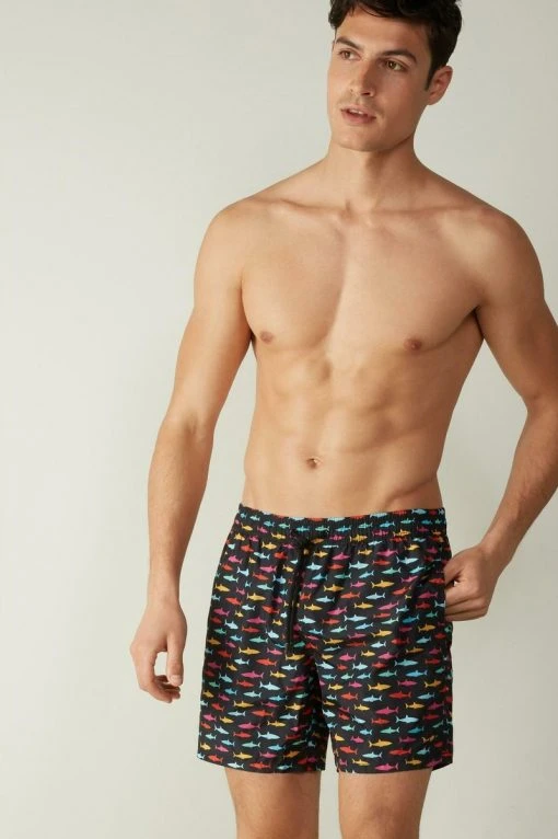 Intimissimi Herren Badeshorts - St.squali Multicolor 3 Intimissimi Herren Badeshorts - St.squali Multicolor -INTIMISSIMI Verkäufe bcc7ccfd8bcb4dedb92249bdbf90b741