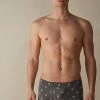 Intimissimi Herren BALLON - Panties - Dunkelgrau 2 Intimissimi Herren BALLON - Panties - Dunkelgrau -INTIMISSIMI Verkäufe ddebd735b032489da576384415019ac1