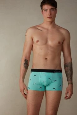 Intimissimi Herren MIT WAL-PRINT AUS ELASTISCHER SUPIMA®-BAUMWOLLE - Panties - Orche Minty Blue